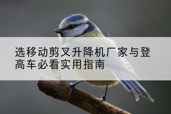 通山电动升降机厂家-选移动剪叉升降机厂家与登高车必看实用指南