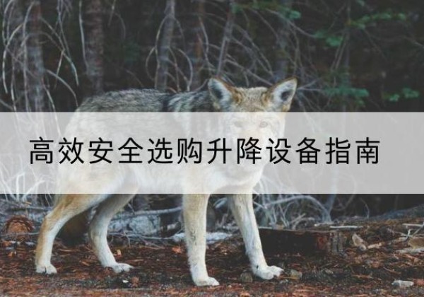 通山升降货梯厂家推荐-*安全选购升降设备指南