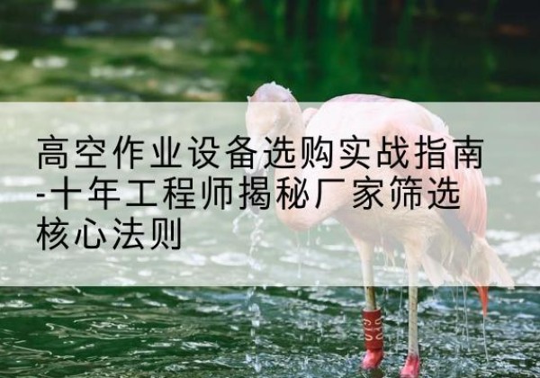 通山剪叉式升降机厂家-高空作业设备选购实战指南-十年工程师揭秘厂家筛选核心法则